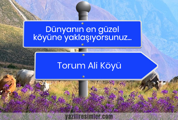 Torum Ali Köyü